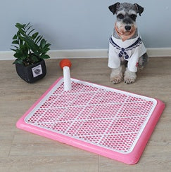 Convenient Automatic Dog Toilet - All Accessories Depo